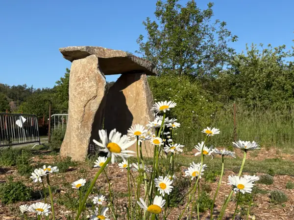 Květy před vstupním dolmenem